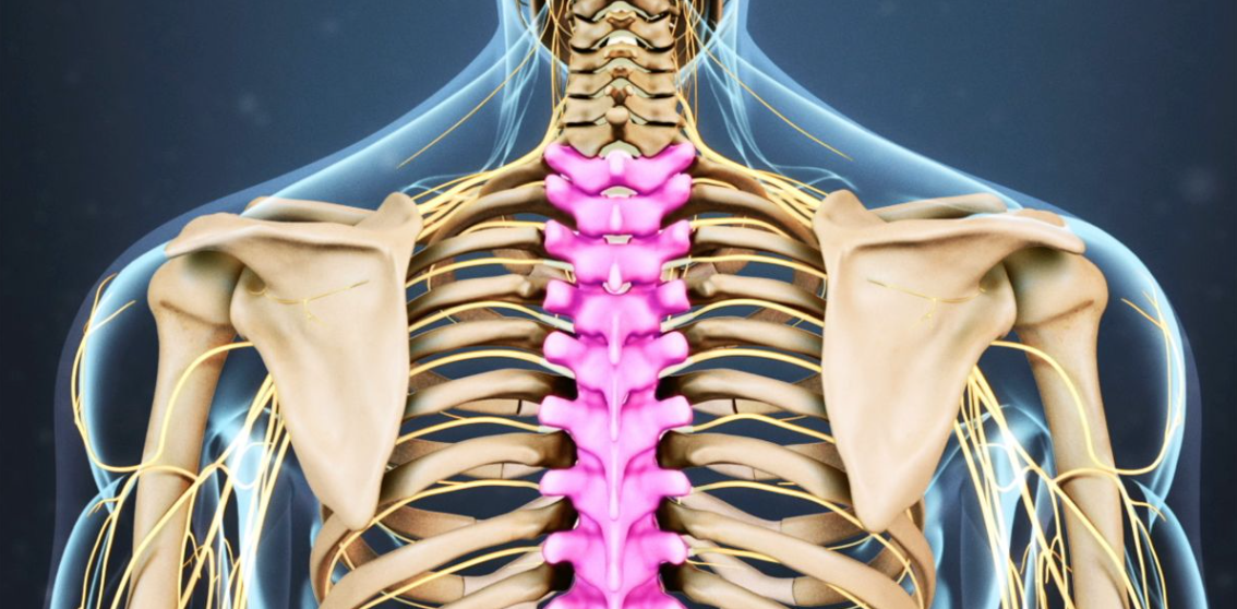 Thoracic Spine Mobility Comfort Health Physiotherapy Clinic